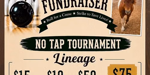 Mobius Garden Bowling Fundraiser