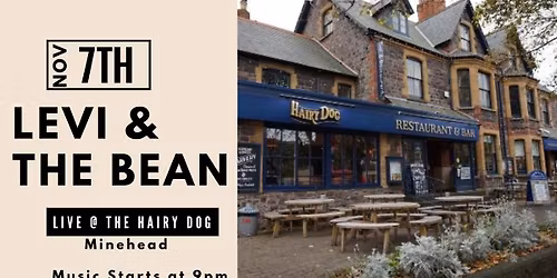 Levi and The Bean LIVE @ The Hairy Dog, Minehead