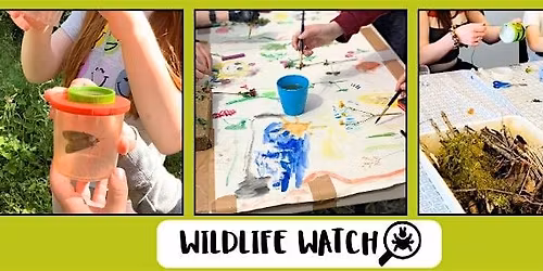 Wildlife Watch at Rainton Meadows