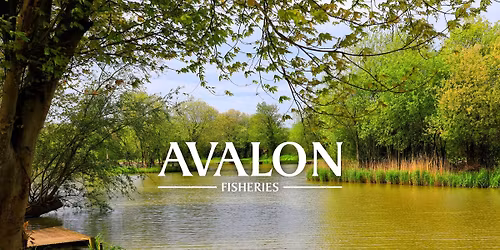 Avalon Fisheries Summer Festival 2026