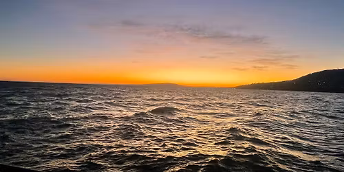 Death By Carrot - Live at Mona