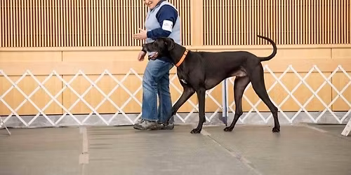 AKC Rally Trials sponsored by BDTA