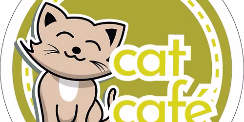Meet Adoptable Cats 