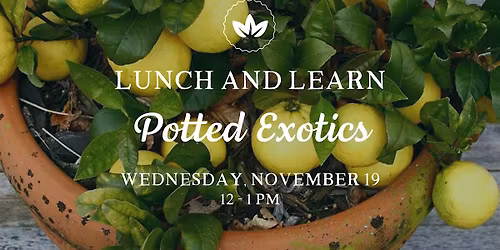 Lunch & Learn: Potted Exotics