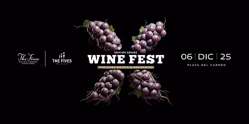 WINE FEST 10\u00aa EDICI\u00d3N