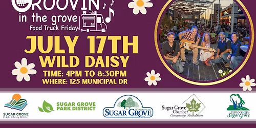 Groovin' in the Grove: Wild Daisy