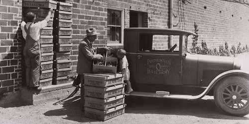 Petaluma's Living History: The Hatchery Years