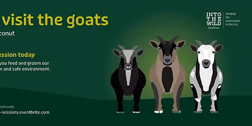 MEET THE GOATS!!!