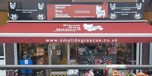 Christmas special evening