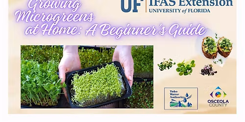 Microverdes para Jardineros Caseros \u2013 Gu\u00eda para Principiantes