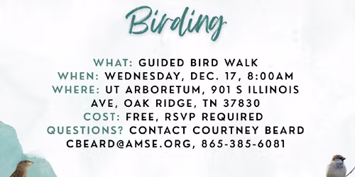 Guided Bird Walk - Citizen Science Birding Program with AMSE & UT Arboretum