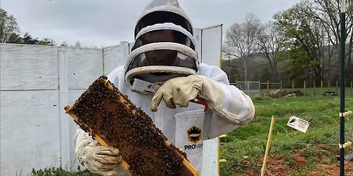 Beekeeping 101 Workshop - Winterization