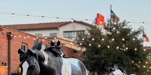 WAPHA HAVE A GO SHOW