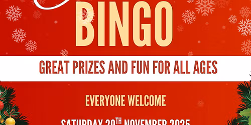 Christmas Bingo @ Allerford
