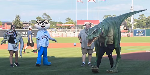 Dinosaur Weekend NIGHT TWO - July 10