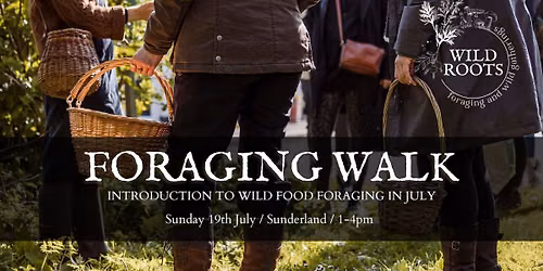 Sunderland Wild Food Foraging Walk - Sunday 19th July 2026