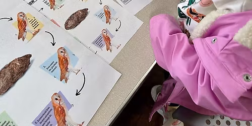 Owl Pellet Dissection Workshop with Meet & Greet