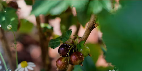 UCL People and Nature Lab Seminar