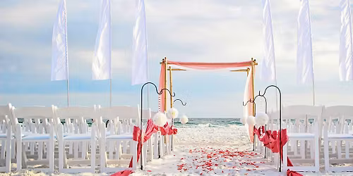 Pop-Up Wedding