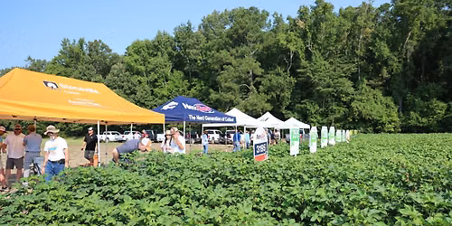 2026 Virginia Cotton Growers Field Day and Tidewater AREC Peanut Tour