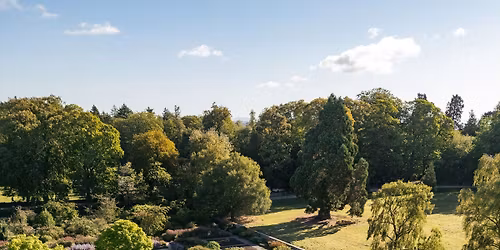 Late Summer Garden Tour \u2013 Estate & Walled Garden