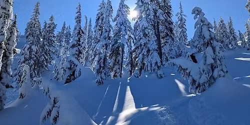 \u03a3\u03c4\u03bf \u03bc\u03bf\u03bd\u03bf\u03c0\u03ac\u03c4\u03b9 \u03c4\u03b7\u03c2 \u03a6\u03c4\u03b5\u03c1\u03cc\u03bb\u03b1\u03ba\u03b1\u03c2, \u03a0\u03b1\u03c1\u03bd\u03b1\u03c3\u03c3\u03cc\u03c2.