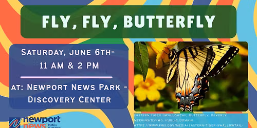 Fly, Fly, Butterfly 