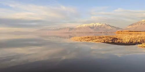 Utah Lakeshore Cleanup