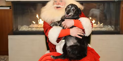 Picture Your Pet with Santa at The Colonnade Hotel