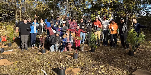 Rebecca Hills Park Tree Planting