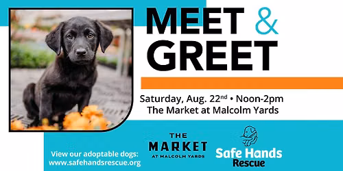 Safe Hands Rescue Meet & Greet at The Market at Malcolm Yards