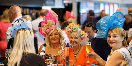 Amalgamated Group Raceday - Members Reserve