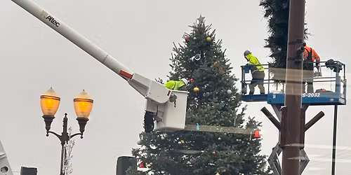 Tree lighting watch party