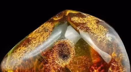 The Amber Gala: The Latvian Museum Fundraiser