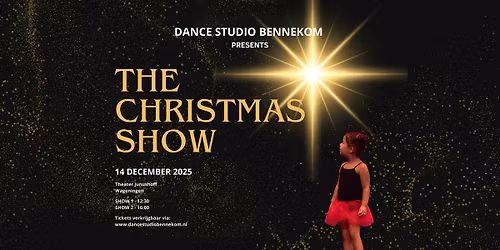 The Christmas show 1