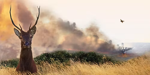 Film "le VIVANT qui se d\u00e9fend" 