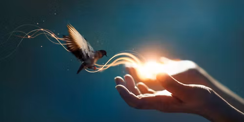 Cirkel Tr\u00e6ning Roskilde a 6 Aftener ( styrk dine spirituelle evner)