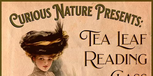 Tea Leaf Reading Class