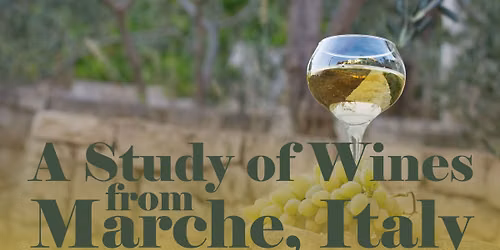 A Study of Wines from Marche, Italy - Wine Class