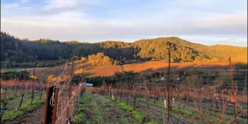 Winemaker Dinner with Porter Creek Vineyards