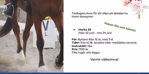 Ridl\u00e4ger p\u00e5 B\u00c4RF - Dressyrkurs
