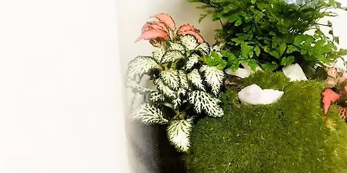 Corked Jar Terrarium Workshop