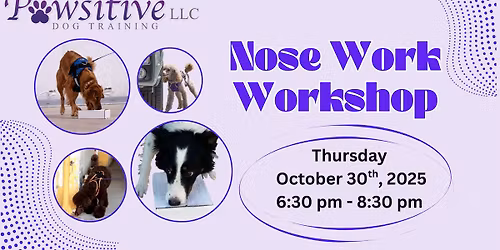 Nose Work Workshop