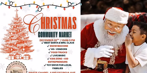 The Downtown Palm Harbor Community Holiday Market 