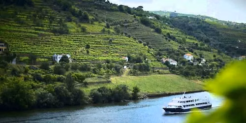 CRUZEIRO Douro | Porto R\u00e9gua Porto
