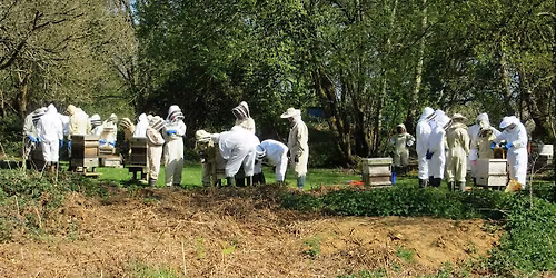 PDBKA Beginner Beekeepers Training - Theory and Practical Sessions 2026