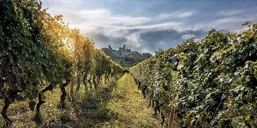 La Spinetta Tasting + Seminar