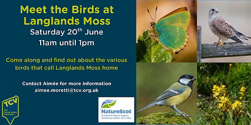 Meet the birds at Langlands Moss