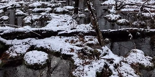 Preschool Story Hour: Winter Weather