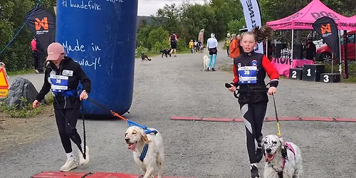 VOM Dogrun R\u00f8ros 2026